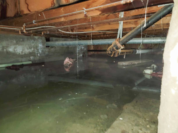 Best Fire Damage Restoration  in Soda Springs, ID