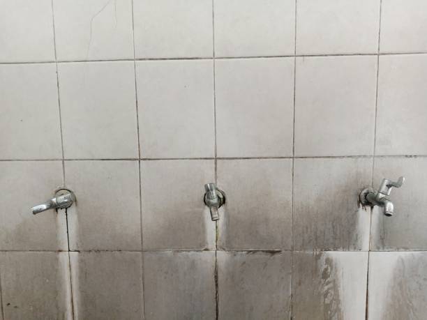 Best 24-hour water damage restoration  in Soda Springs, ID