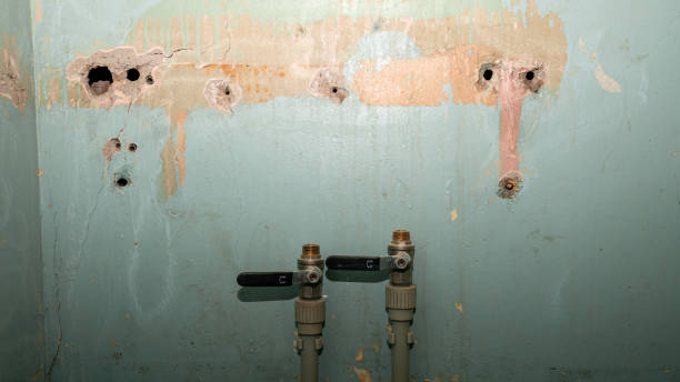 Best 24/7 water damage repair  in Soda Springs, ID